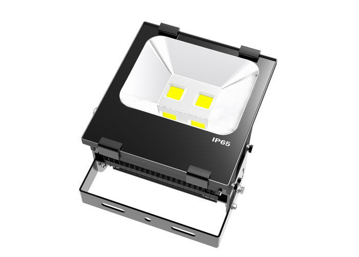 High Power COB 120LM/W Bridgelux Chip 5 Years Warranty Meanwell Driver IP65 LED Flood Light