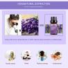 Buy cheap Lavender Home Fragrance Essential Oils Compound 100ml OEM 100% from wholesalers