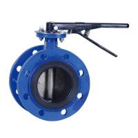 Buy cheap Class 150 - 600 Marine Valve Double Eccentric Butterfly Valve Stainless Steel product