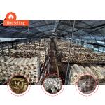 Agricultural Mushroom Green House Shade Net Blackout Greenhouse For Mushroom