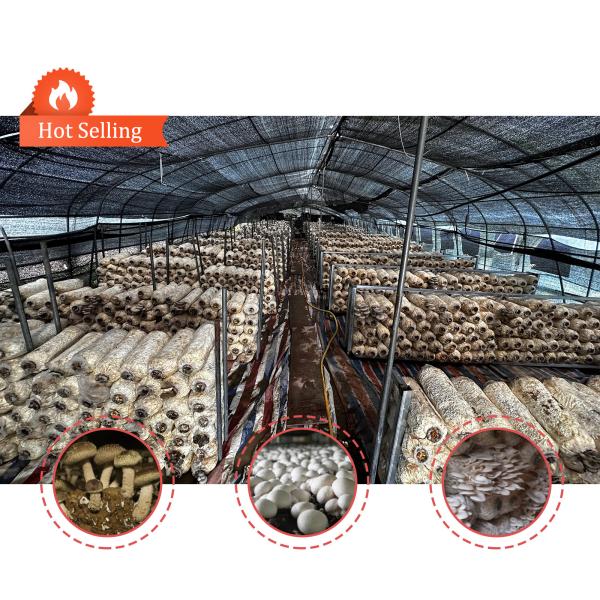 Agricultural Mushroom Green House Shade Net Blackout Greenhouse For Mushroom