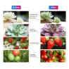 Buy cheap 24v Grow Lights for Indoor Plants, Full Spectrum led Grow Light Plant Light for Indoor Plants with Red+Blue+Sunlike from wholesalers