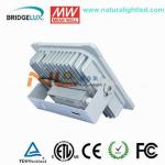 bridgelux chip gas station light