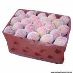 Offering PE Foam Fruit Net Machine