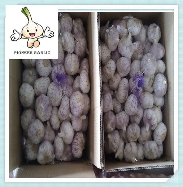 Buy cheap China Cheapest Fresh Garlic Best Quality Jinxiang super garlic from wholesalers