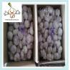 Buy cheap Pure White Garlic Chinese fresh white garlic fresh red purple garlic from wholesalers