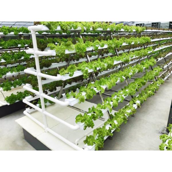Buy cheap CO2 Control NFT Hydroponic Equipment Hydroponic Garden Tower OEM ODM from wholesalers
