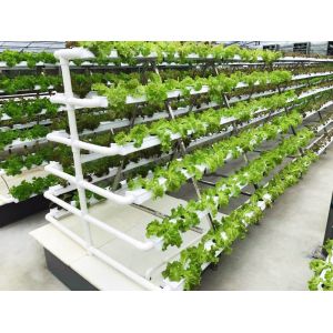 Buy cheap CO2 Control NFT Hydroponic Equipment Hydroponic Garden Tower OEM ODM from wholesalers