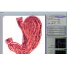 Buy cheap Quantum Magnetic Resonance 3d Nls Health Analyzer , Win XP Win 7 from wholesalers