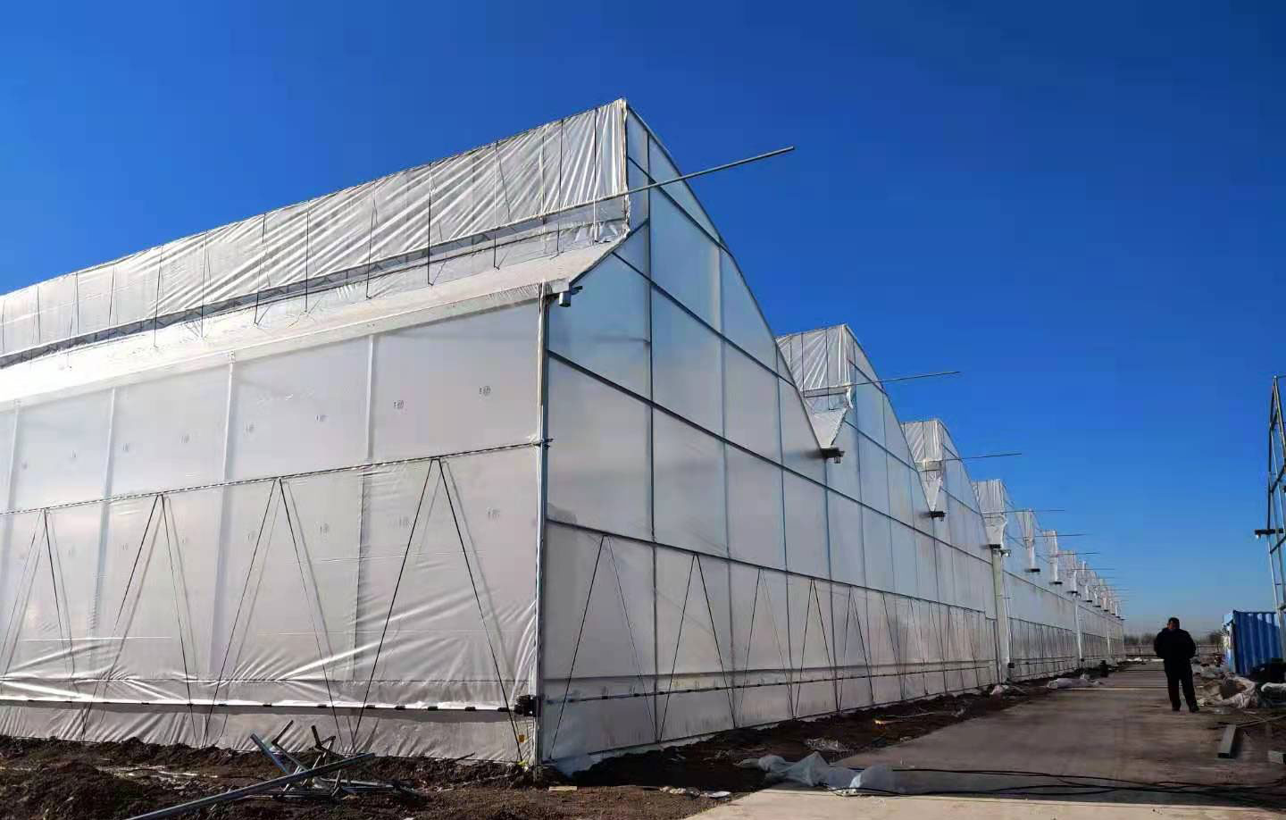Large Sawtooth Greenhouse Shine Tech Poly Tunnel Tropical Greenhouse With Ventilation