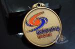 Swimming Football Or Flag Football Custom Sports Logo Medals Filling Soft Enamel
