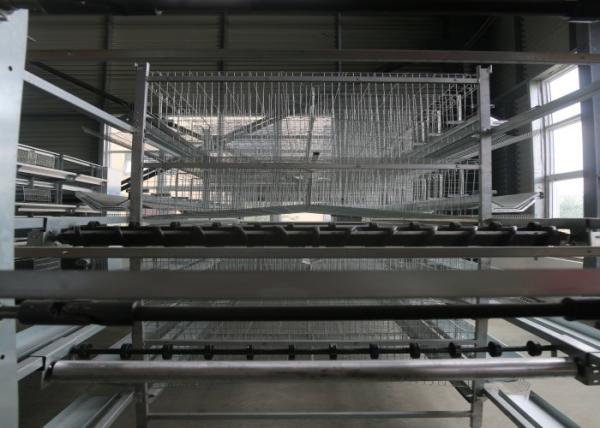 Buy cheap 8 Tiers Commercial Poultry Equipment Wire Poultry Cages Simple Structure from wholesalers
