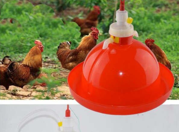 PP Broiler Poultry Feeder Drinker For Chicken Water Bell