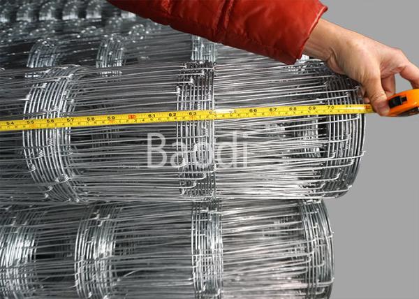 Buy cheap Electro Galvanized Wire Mesh Fence 74 Inches Height For Field , Farm Fence from wholesalers