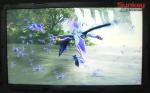 Reliability 1080P Wall Mounted Digital Signage Windows Monitor Ultra Thin 43