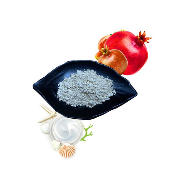 Buy cheap 40% Pomegranate Extract Ellagic Acid Anti Cancer For Esophageal Carcinoma from wholesalers