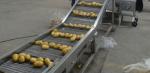 Industrial Fried French Fries Making Machine ,large capacity Potato Chips