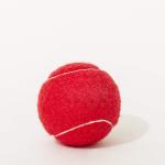 Eco Friendly Puppy Dog Tough Chew Toys , Durable Pet Tennis Balls For Dogs