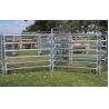 Buy cheap 1.6mm 2mm Pipe ASTM API Galvanized Livestock Fencing Pre Hot Dipped Galvanized from wholesalers