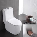 Dual Flush Washdown Siphonic One Piece Toilet Models P Trap S Trap