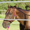 Buy cheap Portable Horse Pens For Sale 30 METER Heavy Duty 6 Oval Rail - Cattle Yard Victoria from wholesalers