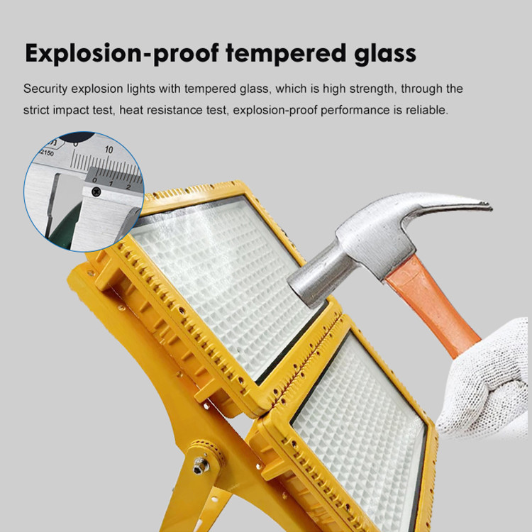 SMD 3030/2835 LED Explosion Proof Lighting Fixtures with IP66 Protection Rating and 2/3/5 Years Guarantee
