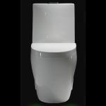 Map1000 Dual-Flush Elongated One-Piece Toilet Seat Included Small Bathroom