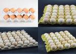 Environment Friendly Paper Egg Tray Machine Pulp Molding Machine Easy Operation