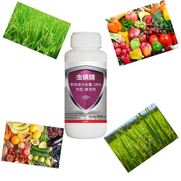 Buy cheap Agricultural 10% Chlorfenapyr SC Rice Crop Pesticides for Lepidoptera Pests from wholesalers