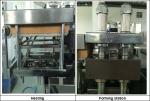 GMP Standard Compact Automatic Blister Packing Machine PLC Touch Screen