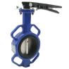 Buy cheap Butterfly Cast Iron Drain Valve from wholesalers