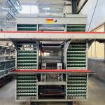 Long-lasting medium broiler cages are essential for managing little chicks