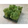 Buy cheap Nature Moss 3d Acoustic Wall Panels For Walls Green Plant Decoration Mildew Proof from wholesalers