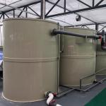 1000LPH Capacity Tilapia Aquaculture RAS Recirculating System for Indoor Fish