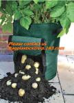 Plastic Planter, Grow Bag, garden bags, grow bags, hanging plant bags, planters
