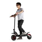 Eco - Rider Smart Kick Folding Motor Scooter 2000W Dual Battery 48V 10 Inch