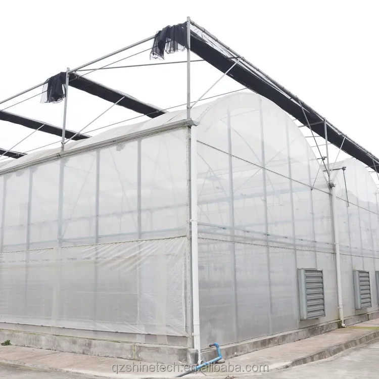 Optimal Irrigation Agricultural Multi Span Plastic Greenhouse for Single Layer Crops