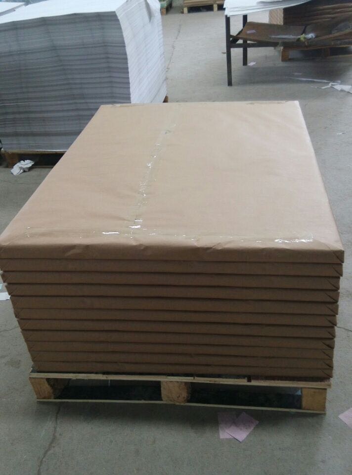 Continuous Computer Printing Paper Roll 2 Ply NCR Carbonless Paper in Customized Size