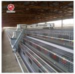 Hot-dip Galvanized Layer Hen Cage System For Poultry Farming
