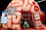 Inflatable Brain Model Tent Inflatable Medical Conferences Exhibitions - Mega