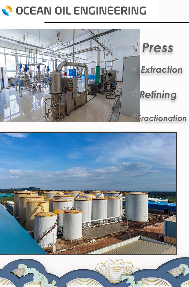 Peanut Groundnut Oilseed Edible Oil Processing Equipment High Oil Yield