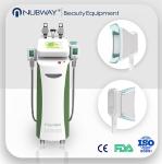 Fat Burning 5 handles Vacuum Cavitation+RF+Cryolipolysis Radio Frequency