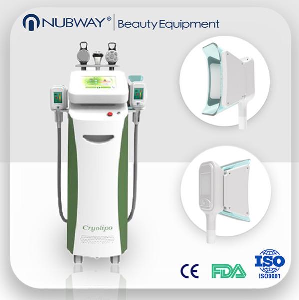 Buy cheap Most Popular!!! laser cryolipolisis slimming machine from wholesalers