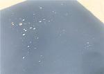 Polyester DWR 3 Layer High Hydrostatic Soft Water Repellent Outdoor Sports Rain