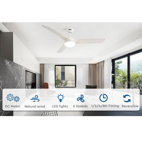 ceiling fan ceiling fan