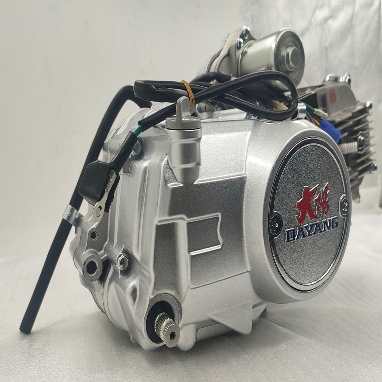 Electric Start DAYANG 125CC Nature Water-cooled Engine Motorcycle Three Wheel Cargo Tricycle Assembly