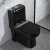 Buy cheap Black One Piece Elongated Toilets 1.6 Gpf Siphon Jet Toilet Flushing Systems from wholesalers