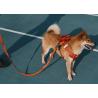 Buy cheap 15CM Personalised Pet Accessories Small Medium Large Dog Puppy Backpack Harness from wholesalers