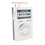 ABS material AM FM Desktop Radio 2 Band 98g Small Hand Held Dsp Chip