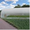 Buy cheap Plastic Film Covering Shed Agricultural 8M Single Span High Tunnel Greenhouse from wholesalers